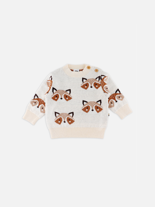 Baby Boys Graphic Knit Pullover Sweater