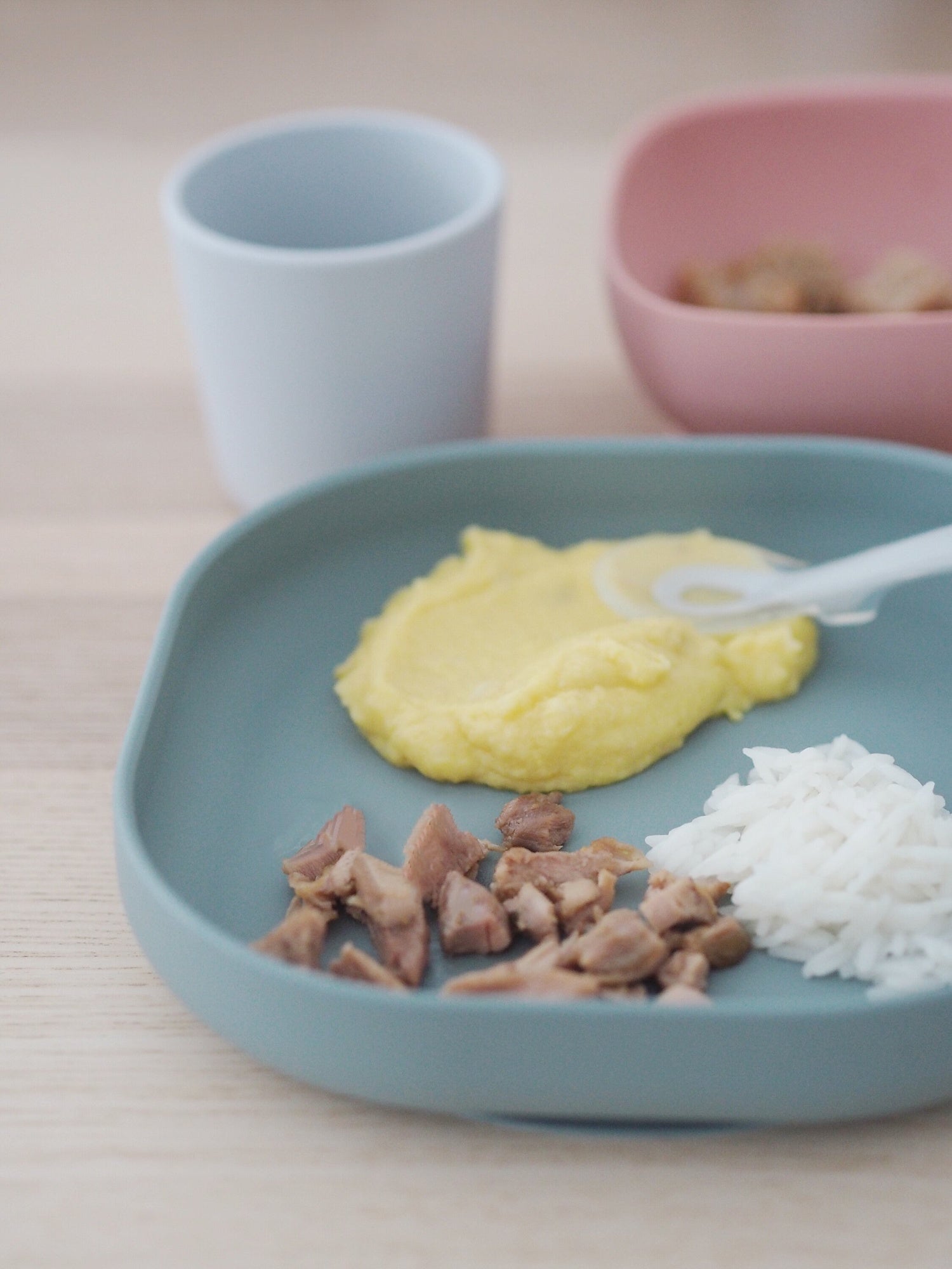 Silicone Suction Meal Set