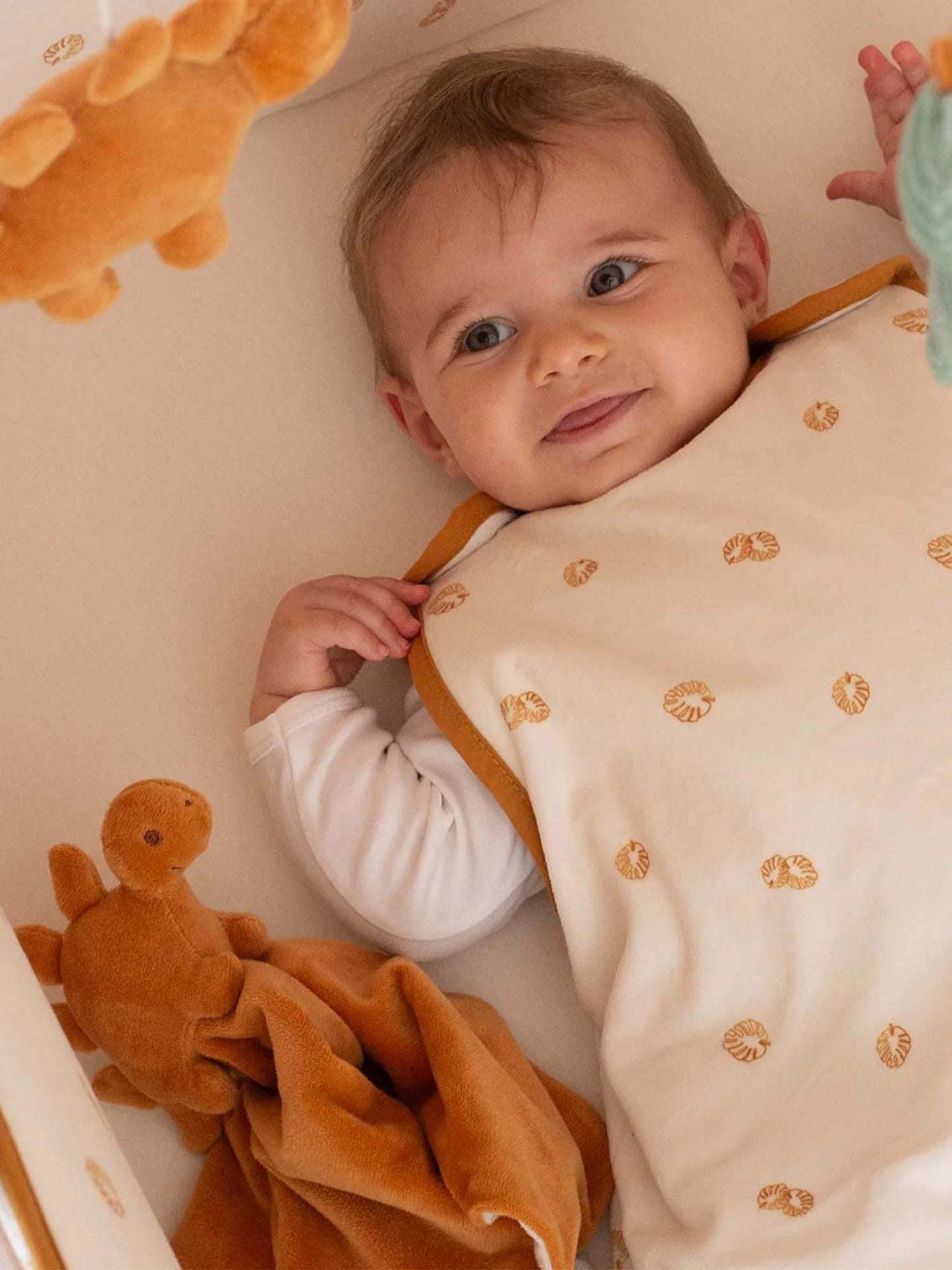 Baby Comforter - Diplododo
