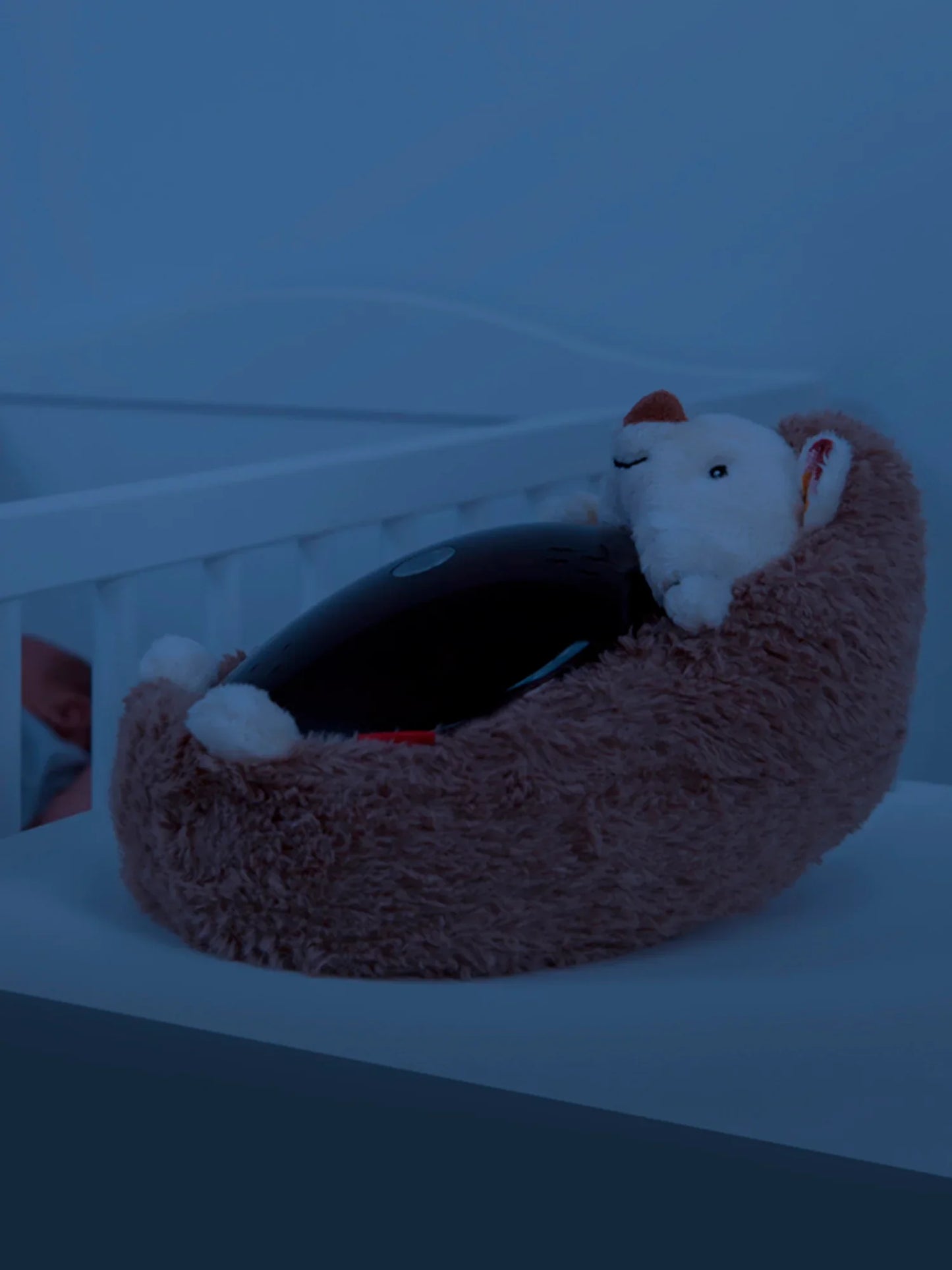 Henry The Hedgehog