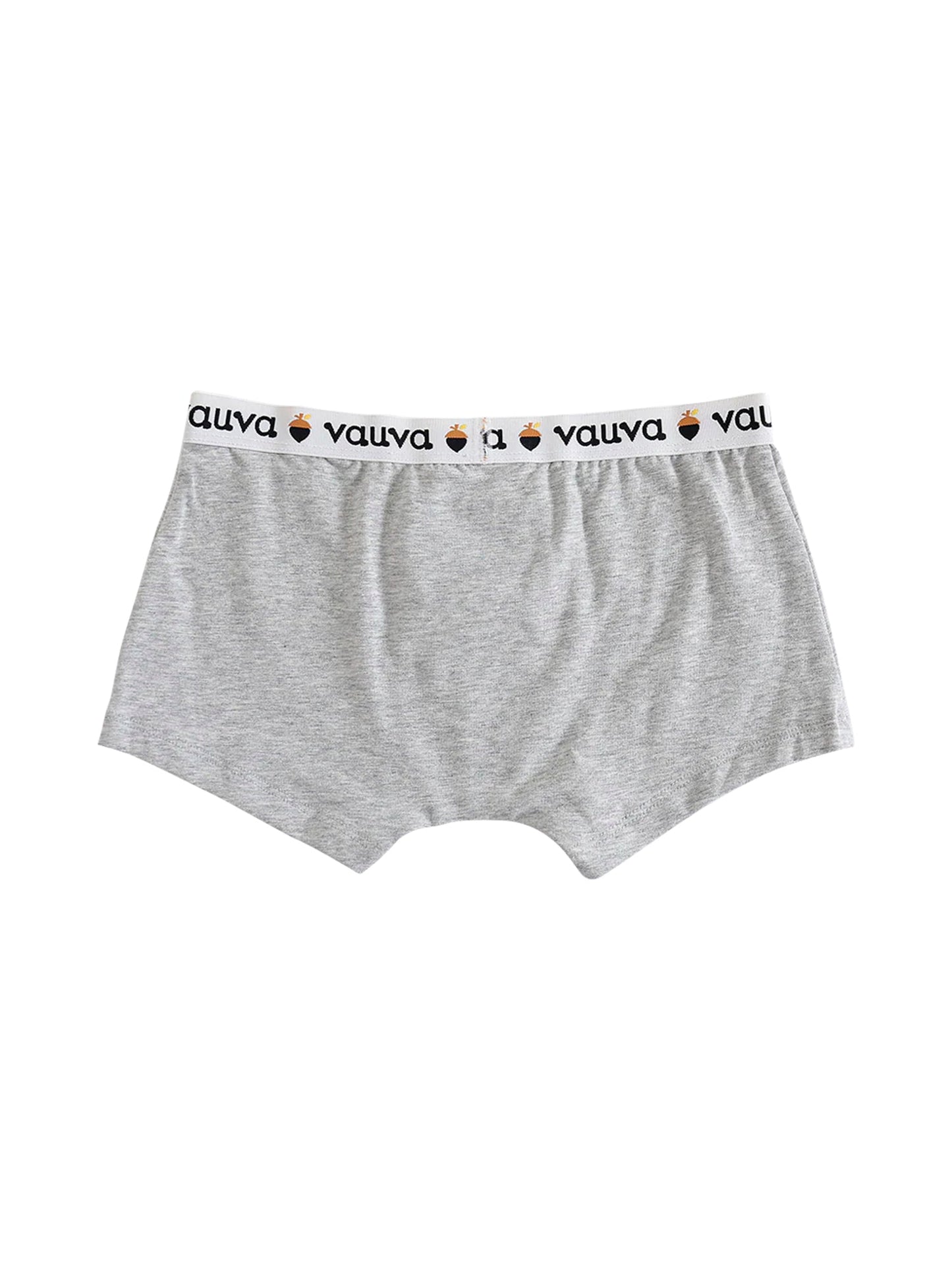 VAUVA Vauva Boys Organic Cotton Underwear (Boxers) - Vauva Blue / Grey Underwear