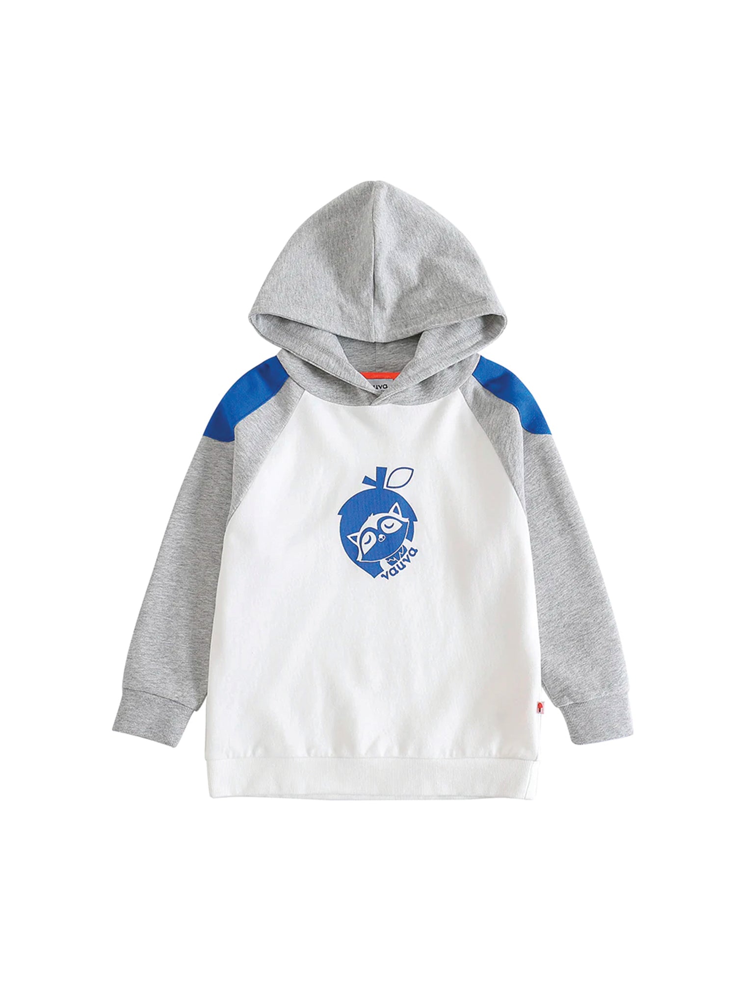 Boys Raccoon Love Nuts Hoodie