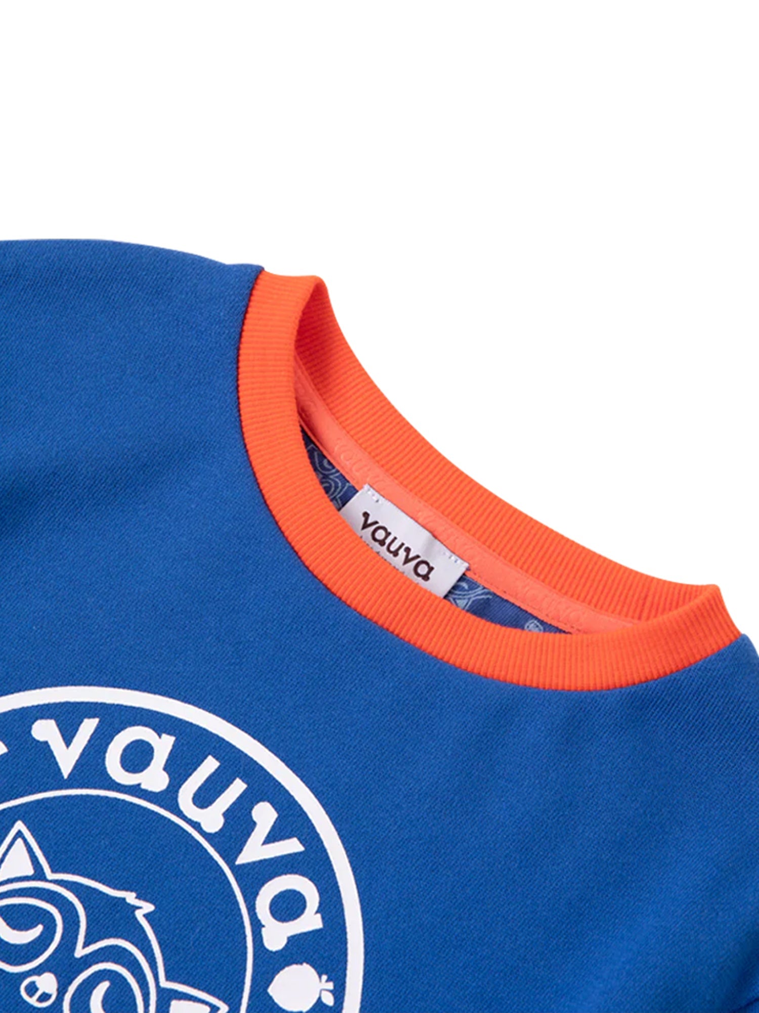 Boys Raccoon Marvelous Sweatshirt