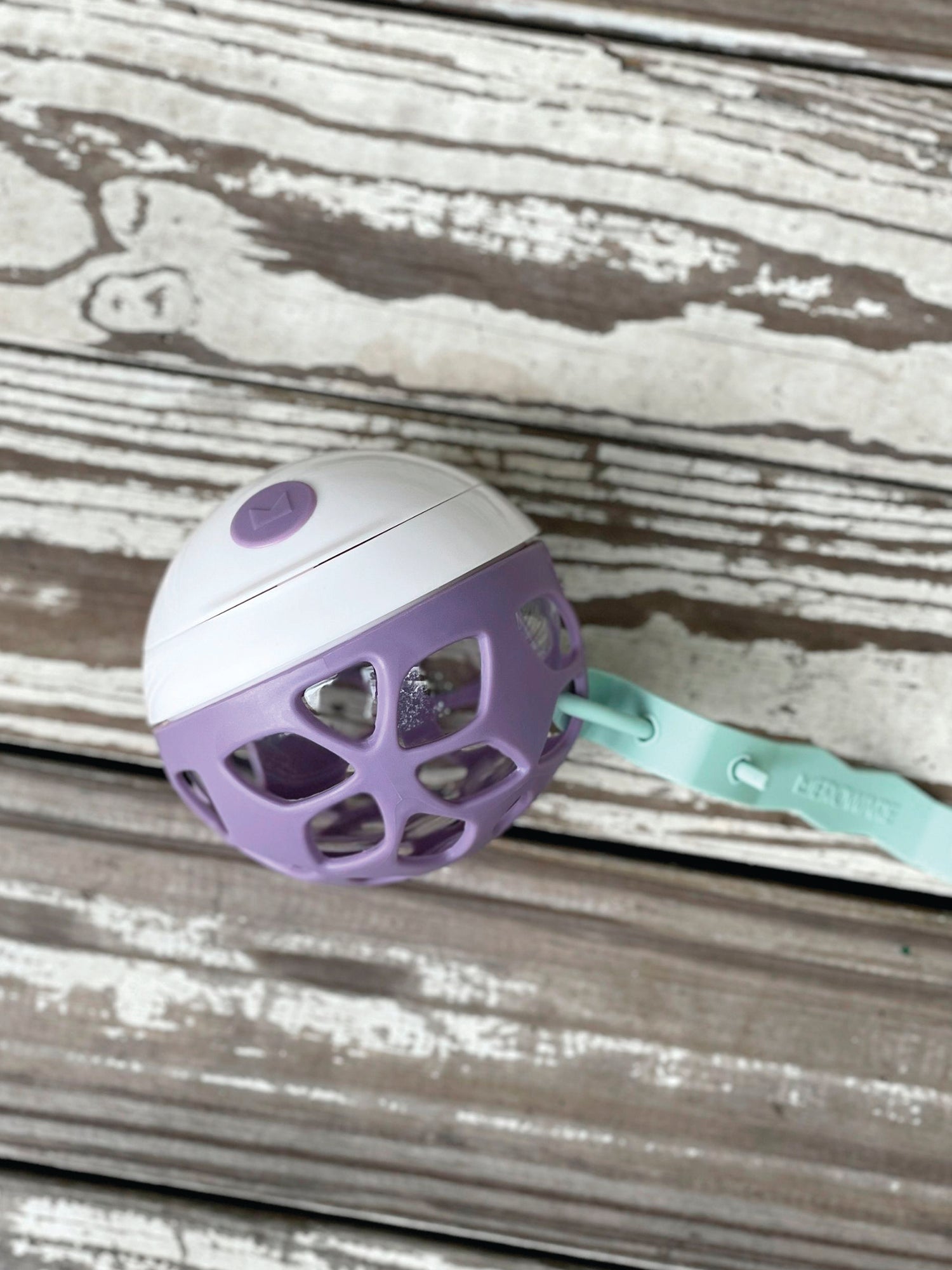 Elle Snack Ball - Purple