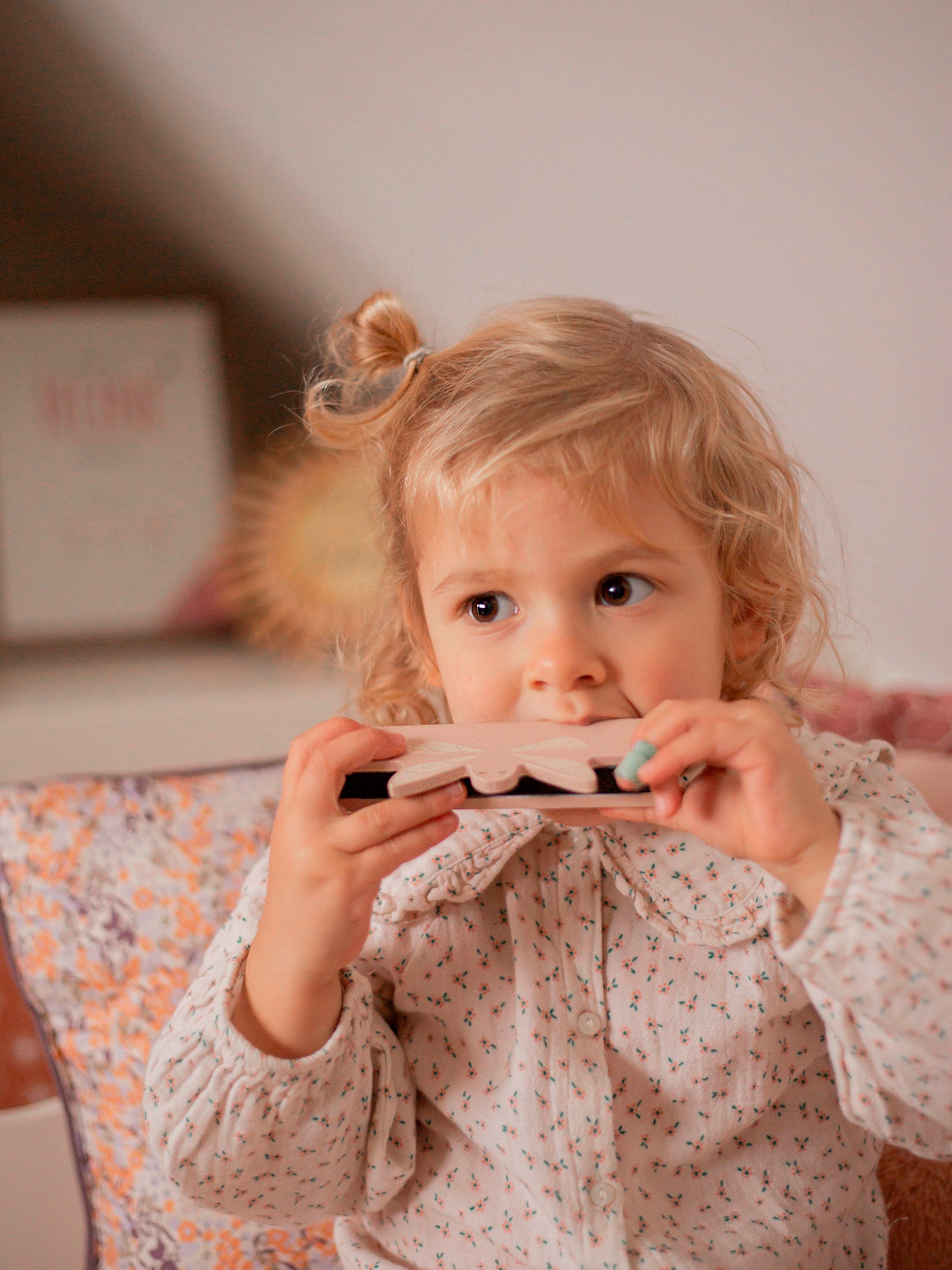 Wooden Harmonica