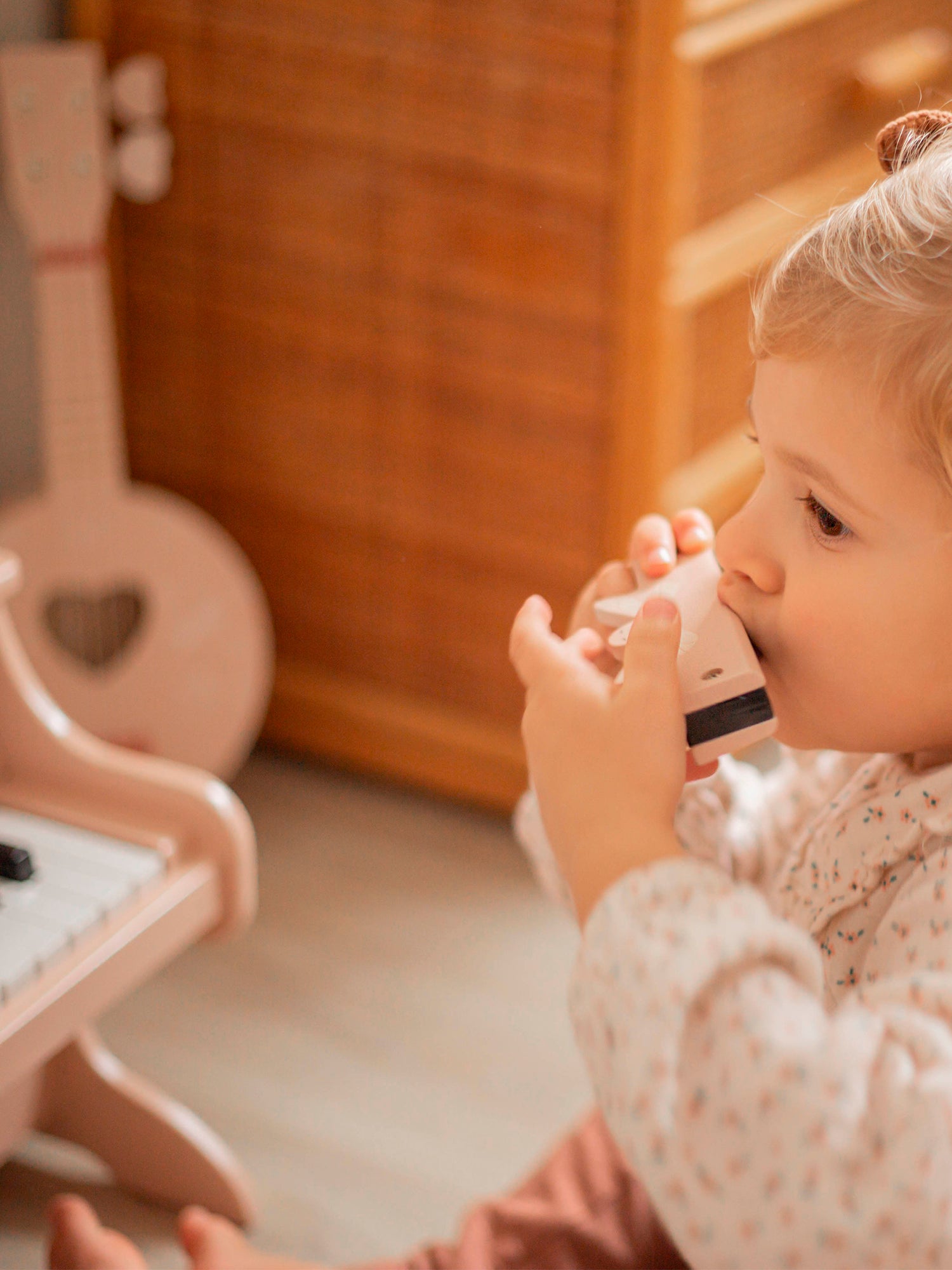Wooden Harmonica