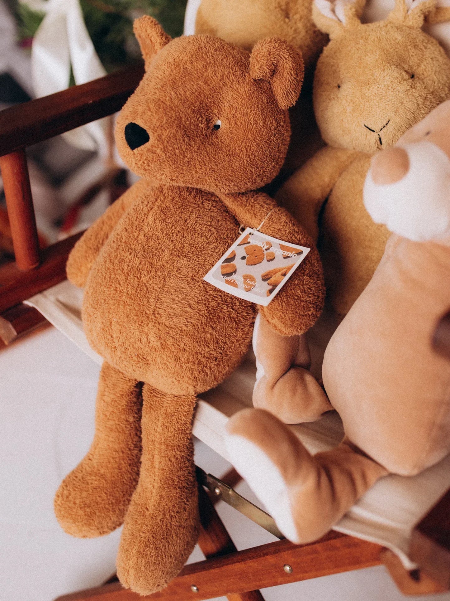 Soft Toy - Teddy