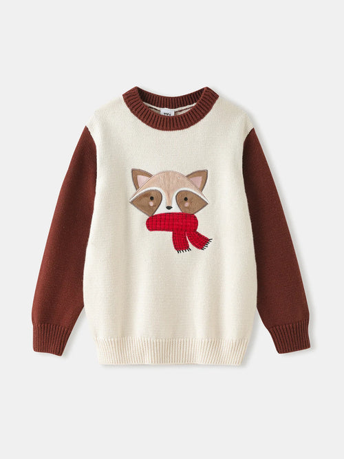 Boys Raccoon Print Knit Sweater