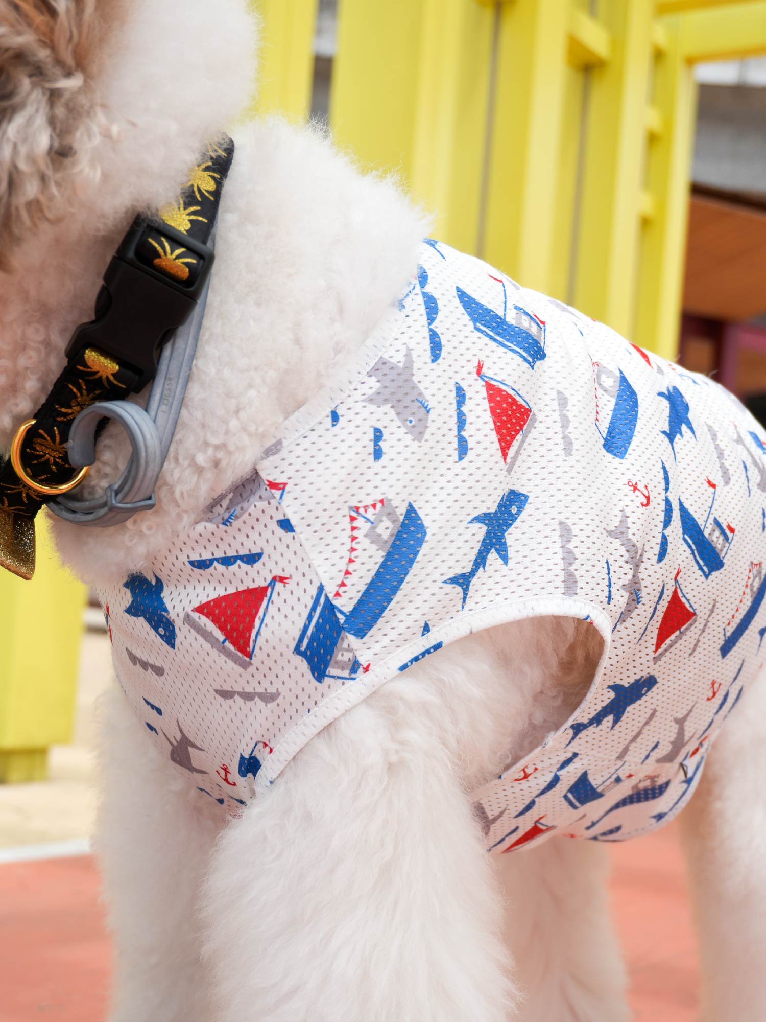 Dogs&