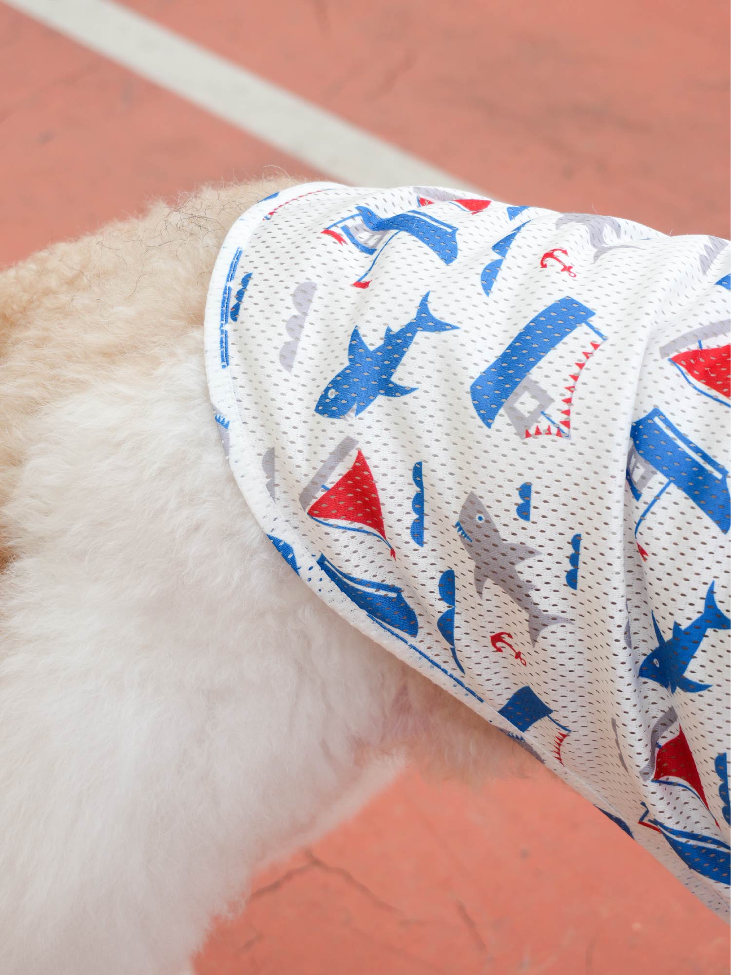 Dogs&