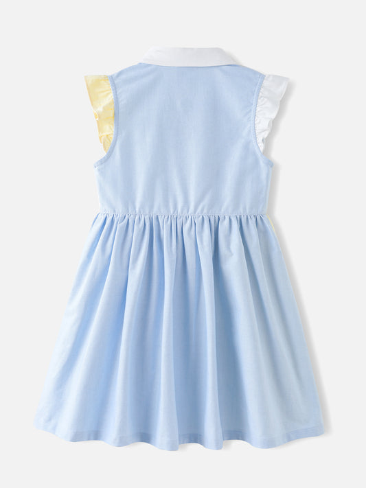 Girls Color Blocked Dress