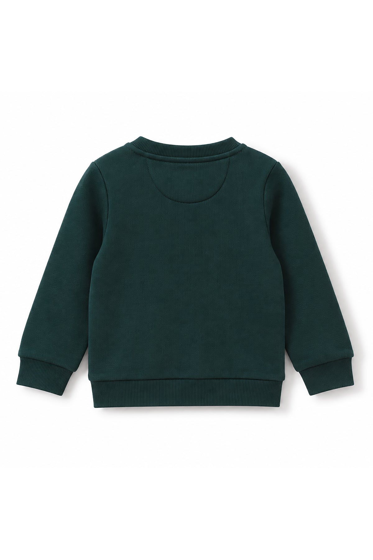 Kids Wreath Dino Graphic Fleece Sweatshirt
