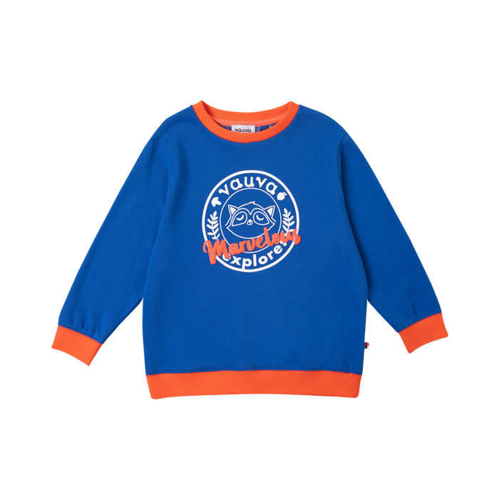 Vauva Boys Raccoon Marvelous Sweatshirt - Blue