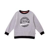 Vauva Boys Raccoon Marvelous Sweatshirt - Grey