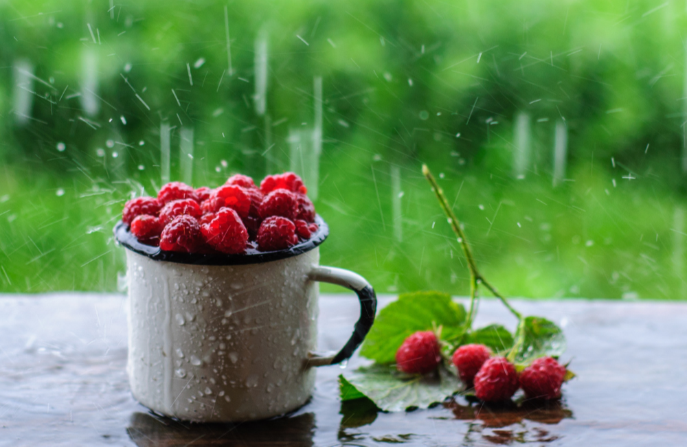 Season Ready: Rainy Days Essentials