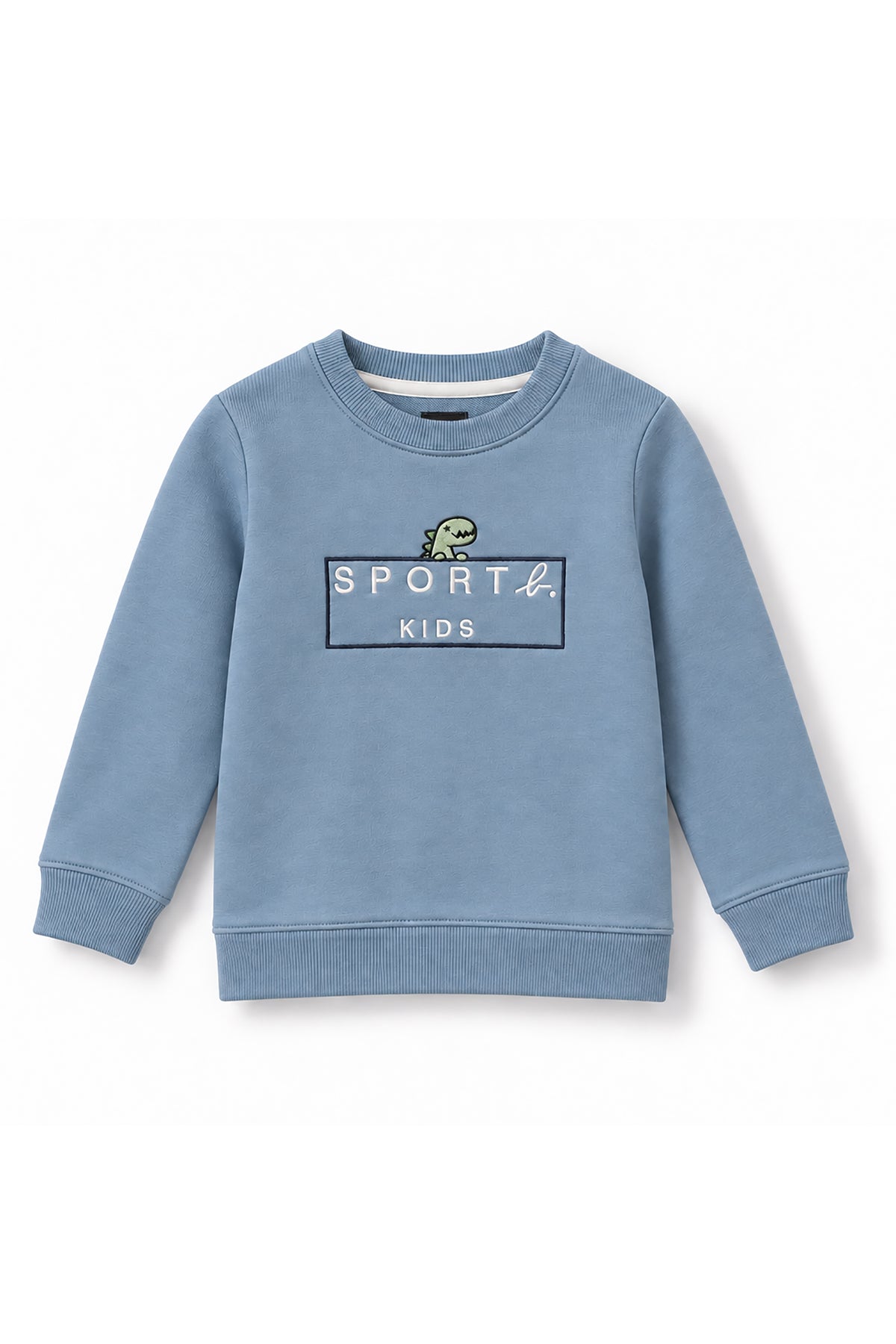 Boys Dino Logo Frame Crew Neck Sweatshirt