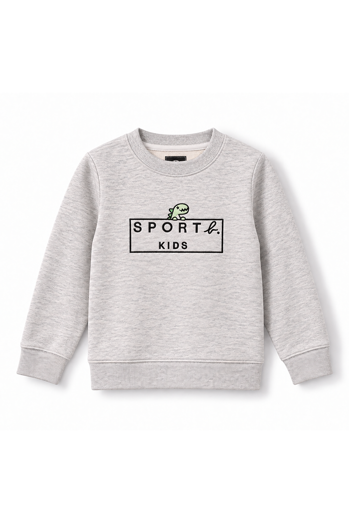 Boys Dino Logo Frame Crew Neck Sweatshirt