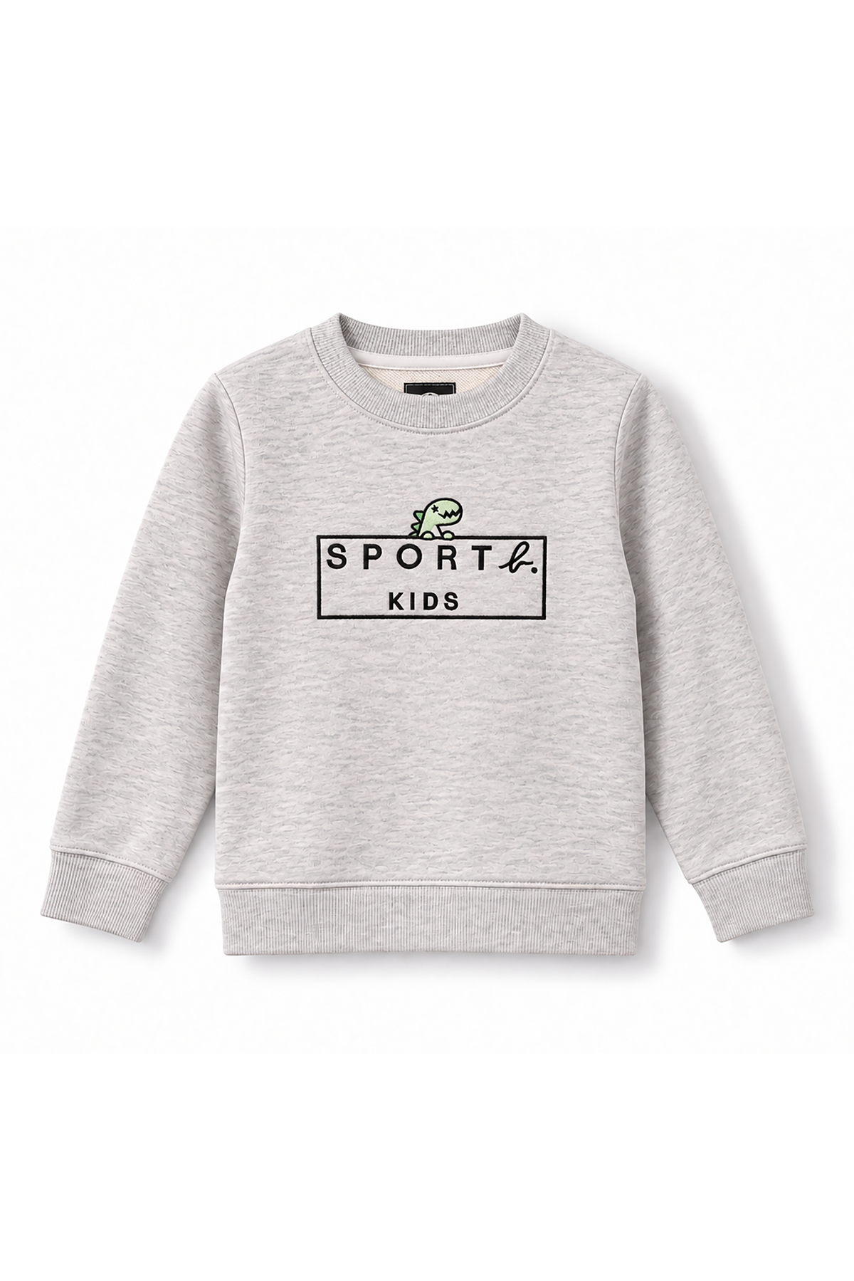 Boys Dino Logo Frame Crew Neck Sweatshirt