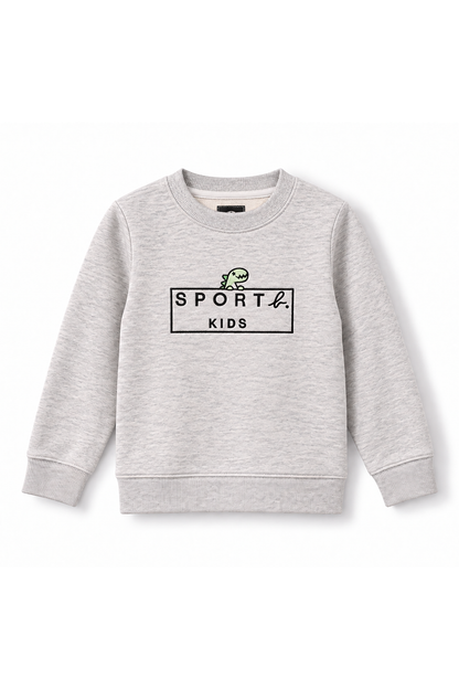 Boys Dino Logo Frame Crew Neck Sweatshirt