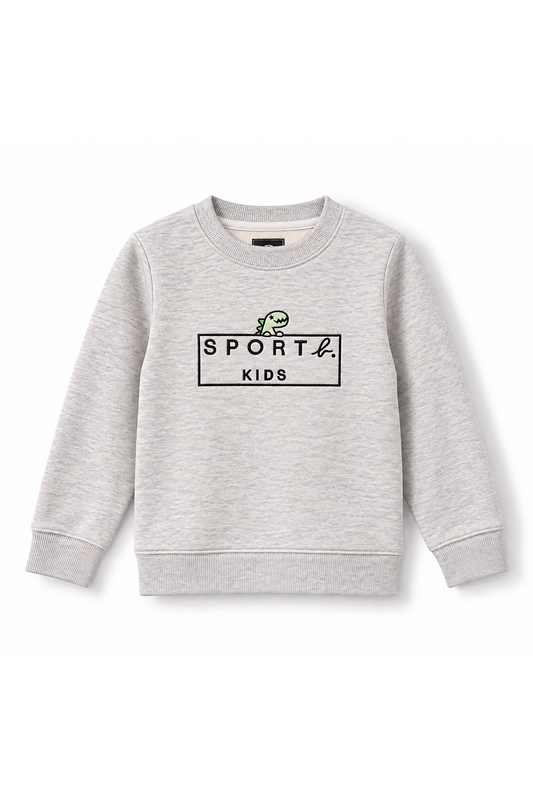 Boys Dino Logo Frame Crew Neck Sweatshirt