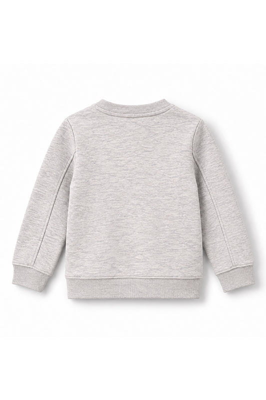 Boys Dino Logo Frame Crew Neck Sweatshirt