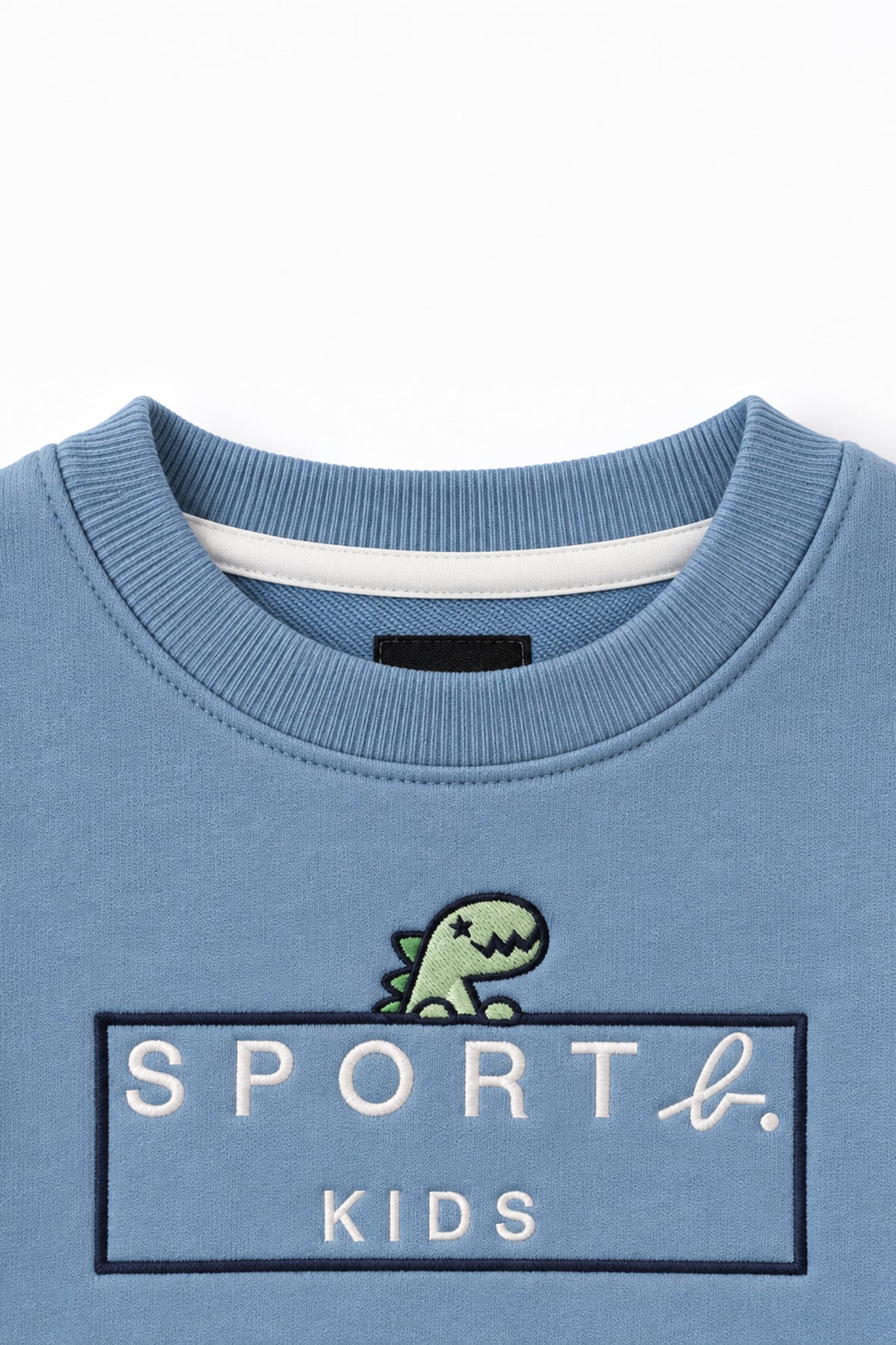 Boys Dino Logo Frame Crew Neck Sweatshirt