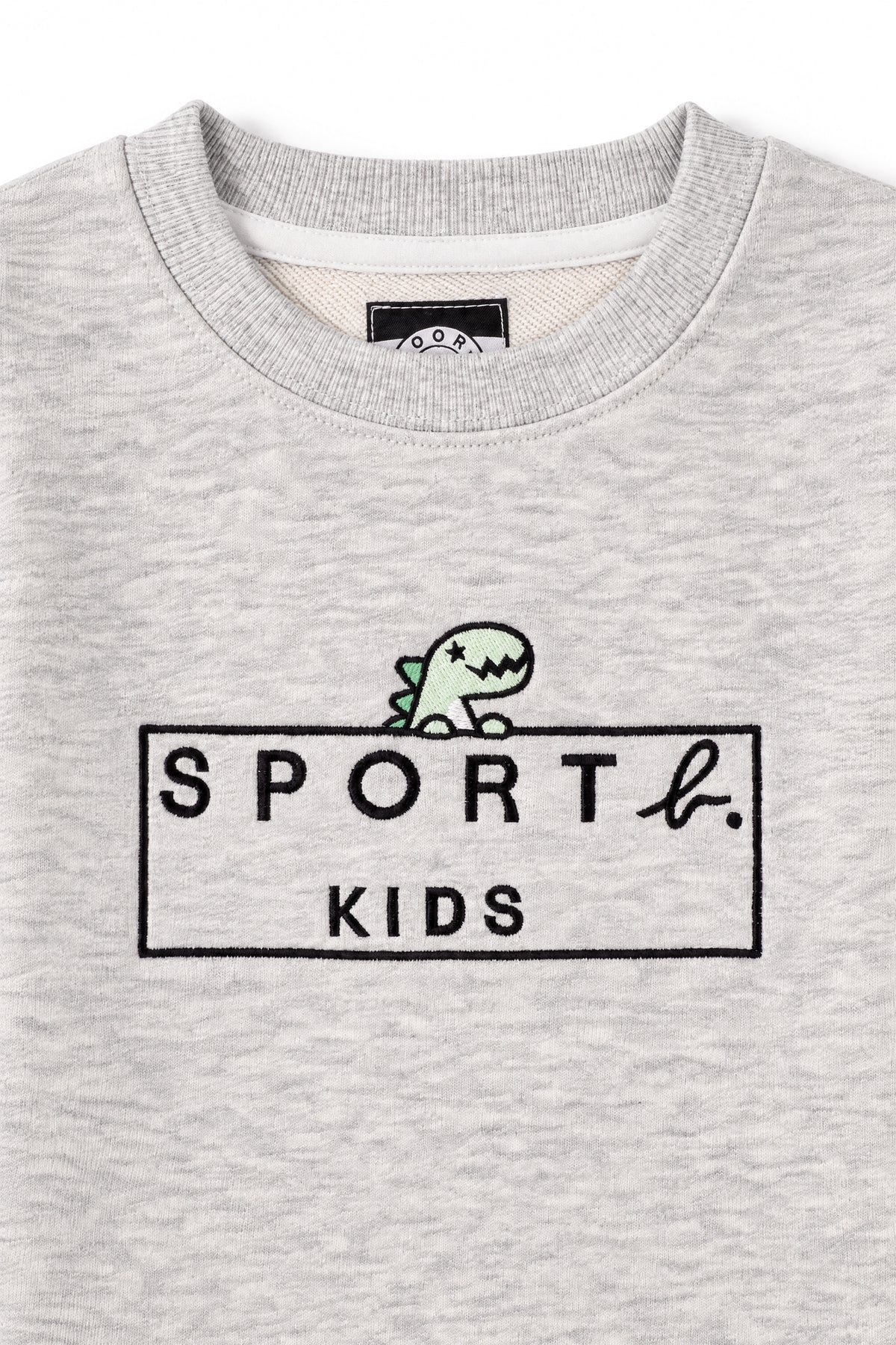 Boys Dino Logo Frame Crew Neck Sweatshirt