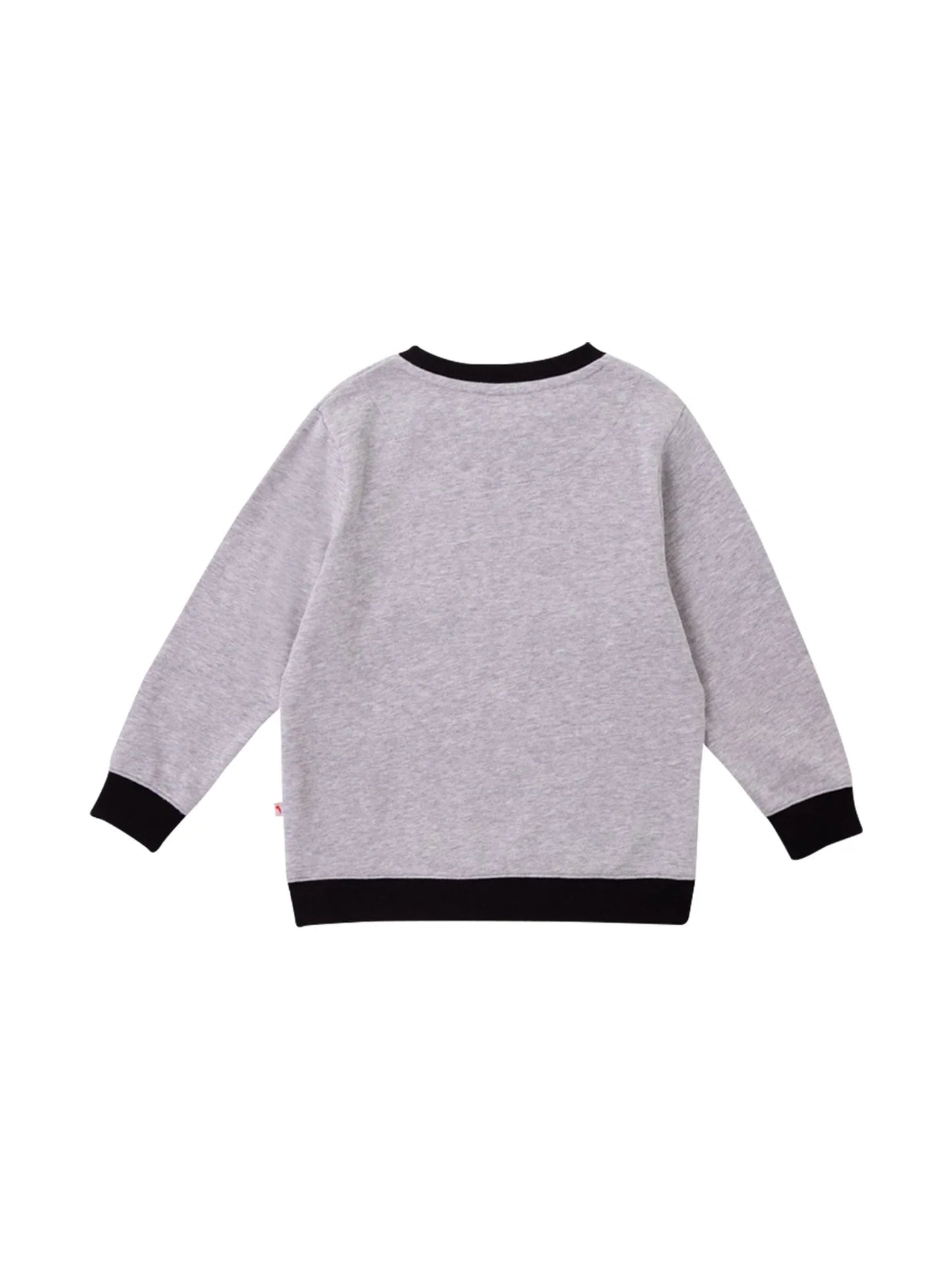 VAUVA Vauva Boys Raccoon Marvelous Sweatshirt