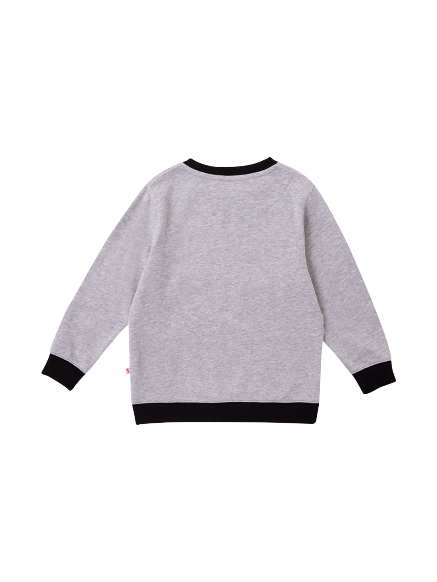 VAUVA Vauva Boys Raccoon Marvelous Sweatshirt