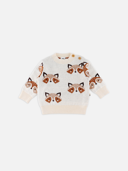 Baby Boys Graphic Knit Pullover Sweater