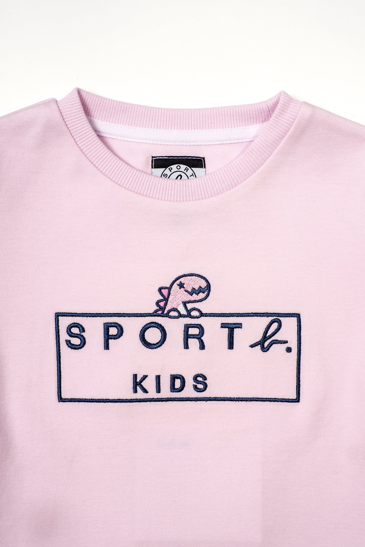 Girls Box Logo & Dino Short Sleeve T-Shirt