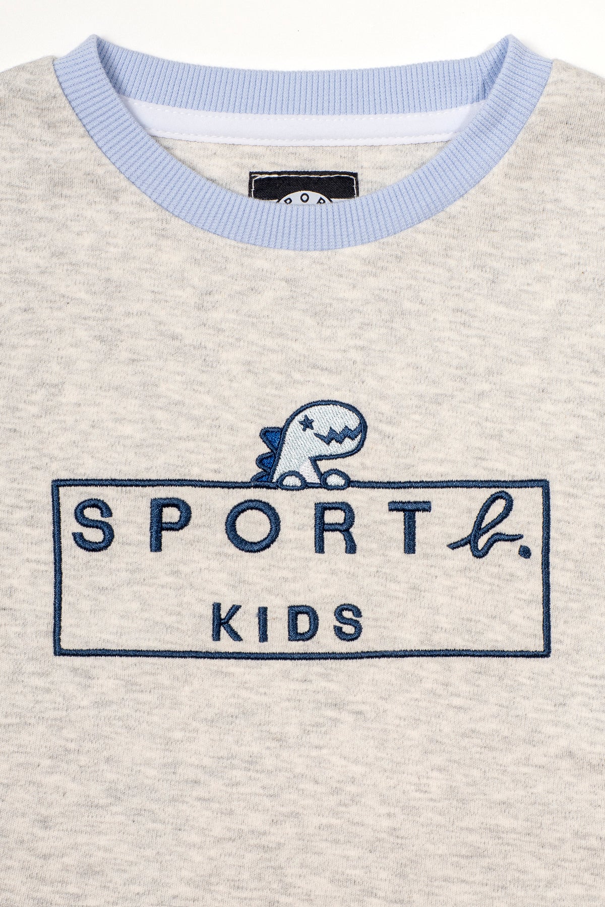 Kids Box Logo & Dino Short Sleeve T-Shirt