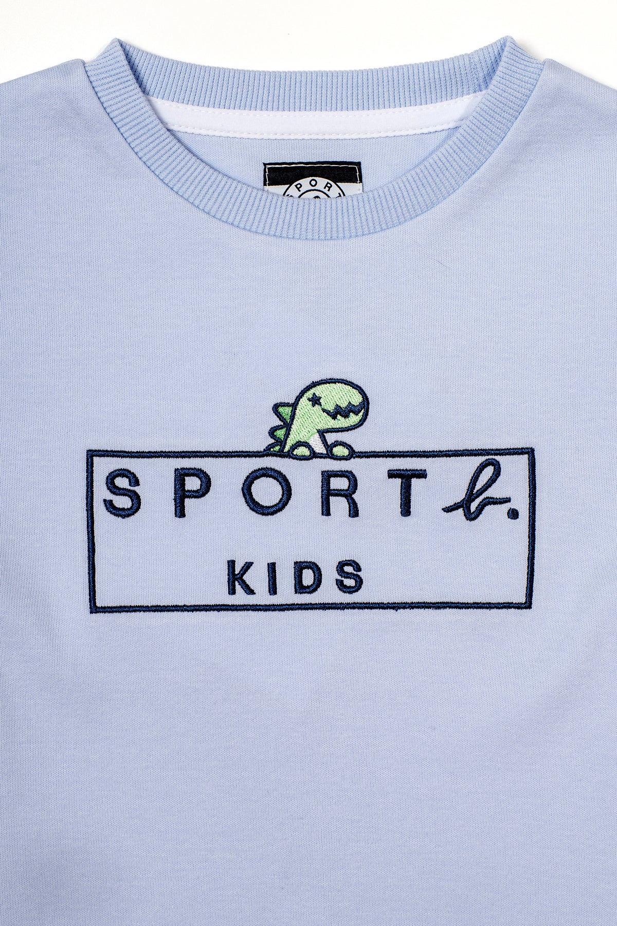 Kids Box Logo & Dino Short Sleeve T-Shirt