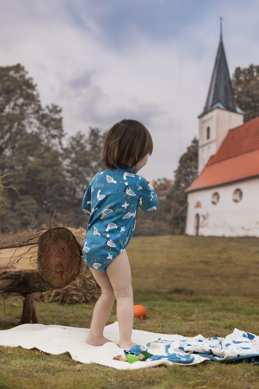 VAUVA Vauva FW23 - Baby Boy White Goose All Over Prinon Long Sleeve Bodysuit (Blue) Bodysuit