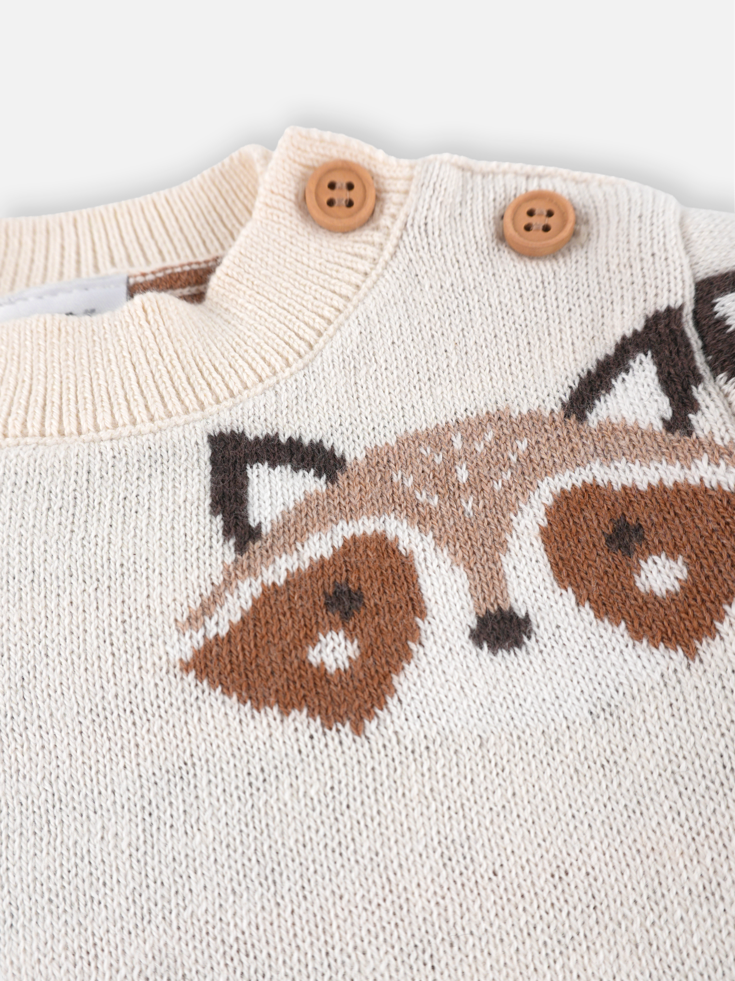 Baby Boys Graphic Knit Pullover Sweater
