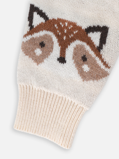 Baby Boys Graphic Knit Pullover Sweater
