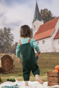 Vauva FW23 - Baby Boys Carrot Embroidery Cotton Dungarees (Green) model back