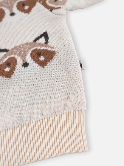 Baby Boys Graphic Knit Pullover Sweater