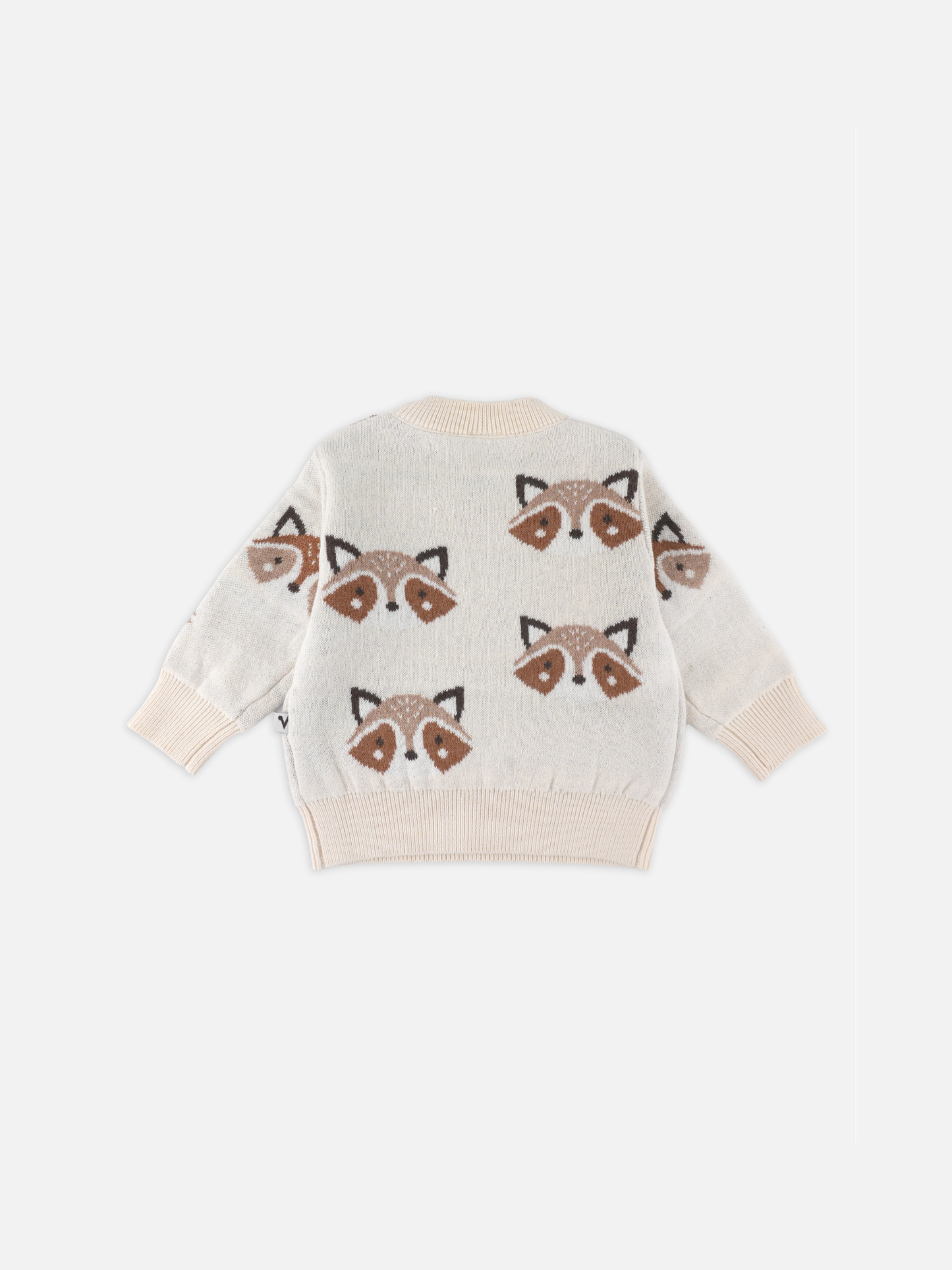 Baby Boys Graphic Knit Pullover Sweater