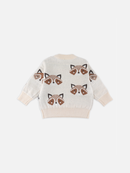 Baby Boys Graphic Knit Pullover Sweater
