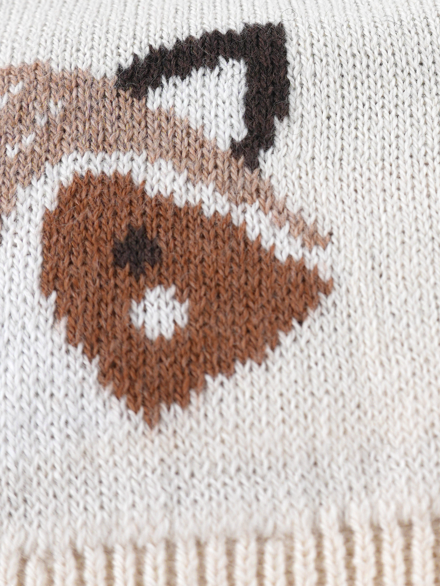 Baby Boys Graphic Knit Pullover Sweater