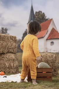 Vauva FW23 - Baby Boy Carrot Pattern Cotton Long Sleeve Romper (Yellow) model back
