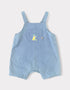 Baby Short Sleeve Tee & Dungaree Shorts Set