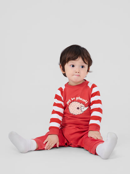 Baby Boys Hedgehog Print Raglan Long Sleeve T-Shirt