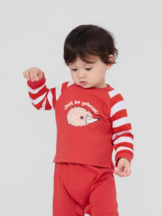 Baby Boys Hedgehog Print Raglan Long Sleeve T-Shirt
