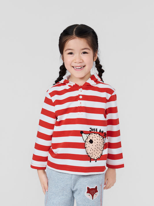 Boys Hedgehog Stripe Hooded Henley T-Shirt