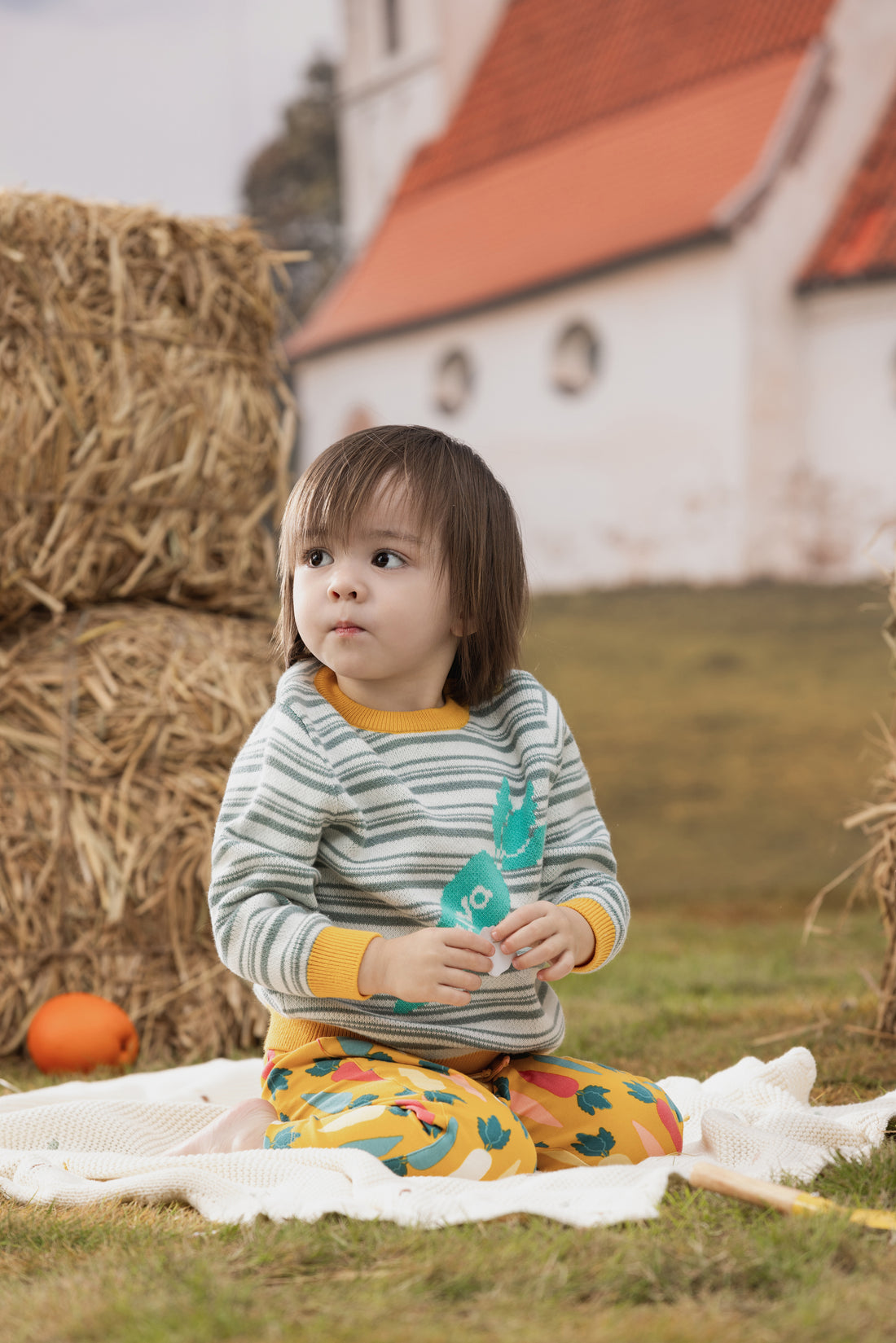 VAUVA Vauva FW23 - Baby Boys Carrot Logo Striped Cotton Long Sleeve Sweater Sweatshirt