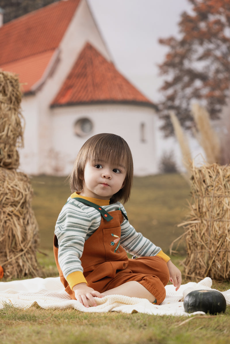 Vauva FW23 - Baby Boys Carrot Embroidery Cotton Dungarees (Brown) model front - 2
