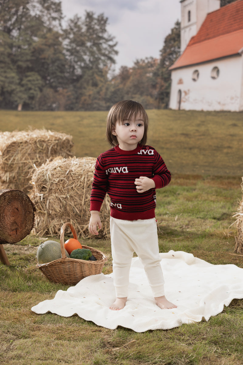 Vauva FW23 - Baby Boys Red and Black Striped Cotton Pullover model front