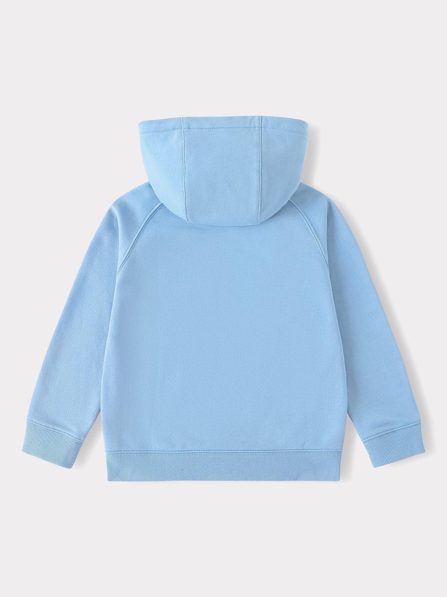 Boys Long Sleeve Embroidery Zipped Hoodie